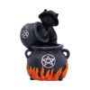 Familiar Brew Backflow Incense Burner 18cm Cats Flash Sale Cats & Dragons