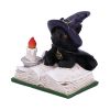Familiar's Spell 8.5cm Cats Gifts Under £100