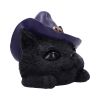 Familiar Grin 13.8cm Cats Gifts Under £100