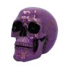 Violet Elegance 18.5cm Skulls Gifts Under £100