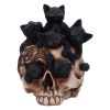 Cranial Litter 14cm Cats Gifts Under £100