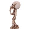 Skeletal Wish 18.5cm Skeletons Out Of Stock