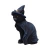 Bewitching 18.5cm Cats Gifts Under £100