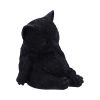Daydream 13cm Cats Gifts Under £100