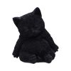 Daydream 13cm Cats Gifts Under £100