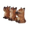 Three Wise Foxes 8.5cm Animals New Arrivals