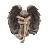 Angels Despair 16.5cm Angels Gifts Under £100