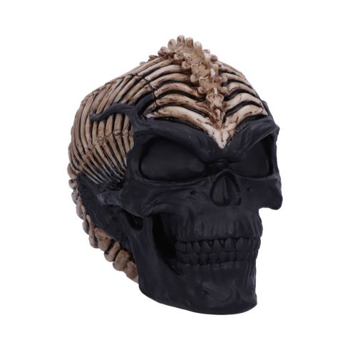 Spine Head Skull (JR) 18.5cm Skulls Gifts Under £100