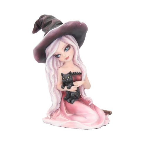 Rosa 15cm Witches Gifts Under £100