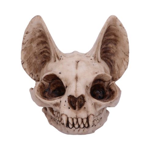 Bastet's Secret 15cm Animal Skulls Wieder auf Lager