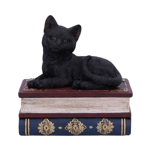 Salems Spells 11.7cm Cats Gifts Under £100