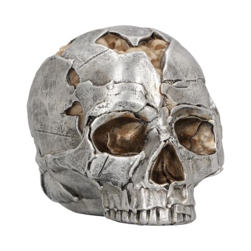 Fracture (Large) 16cm Skulls Verkaufte Artikel
