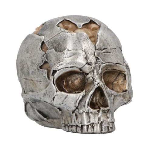 Fracture (Small) 11cm Skulls Gifts Under £100