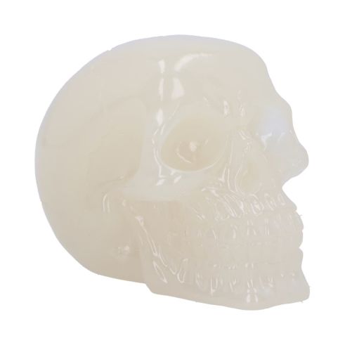 Phosphorescent 10.5cm Skulls Stock Release Spring 2024