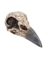 Edgar's Raven Skull 21cm Animal Skulls Statues Medium (15cm to 30cm)