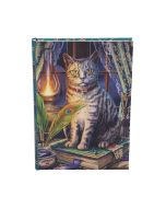 Book of Shadows Journal (LP) 17cm Cats Gifts Under £100