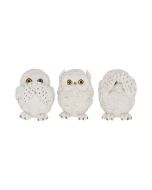 Three Wise Owls 8cm Owls Statues Small (Under 15cm)