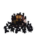 The Witches Litter 24.8cm (Display of 36) Cats Gifts Under £100