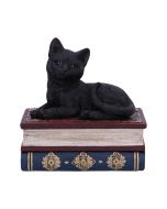 Salems Spells 11.7cm Cats Boxes