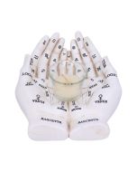 Palmist's Guide (White) 22.3cm Palmistry Gifts Under £100